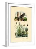 Swift, 1833-39-null-Framed Giclee Print