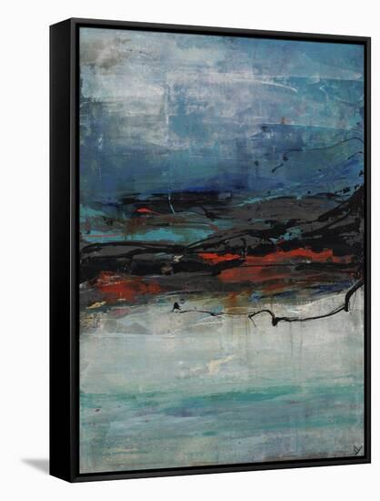 Swift Focus III-Joshua Schicker-Framed Stretched Canvas