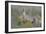 Swift Fox (Vulpes velox) vixen, Pawnee National Grassland, Colorado, USA, North America-James Hager-Framed Photographic Print