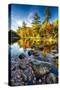 Swift River Autumn Reflections, New Hampshire-George Oze-Stretched Canvas