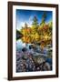 Swift River Autumn Reflections, New Hampshire-George Oze-Framed Photographic Print