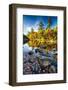 Swift River Autumn Reflections, New Hampshire-George Oze-Framed Photographic Print