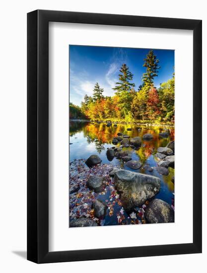 Swift River Autumn Reflections, New Hampshire-George Oze-Framed Photographic Print