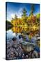 Swift River Autumn Reflections, New Hampshire-George Oze-Stretched Canvas