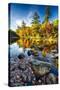 Swift River Autumn Reflections, New Hampshire-George Oze-Stretched Canvas