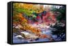 Swift River Autumn Scenic, New Hampshire-George Oze-Framed Stretched Canvas