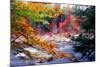 Swift River Autumn Scenic, New Hampshire-George Oze-Mounted Photographic Print