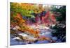 Swift River Autumn Scenic, New Hampshire-George Oze-Framed Photographic Print