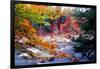 Swift River Autumn Scenic, New Hampshire-George Oze-Framed Photographic Print