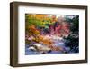 Swift River Autumn Scenic, New Hampshire-George Oze-Framed Photographic Print