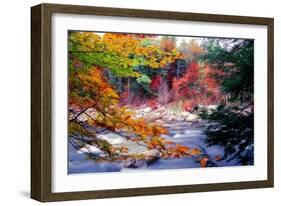 Swift River Autumn Scenic, New Hampshire-George Oze-Framed Photographic Print