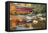 Swift River Covered Bridge-Alan Majchrowicz-Framed Stretched Canvas