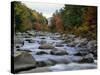 Swift River Flowing Through Forest in Autumn-James Randklev-Stretched Canvas