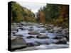 Swift River Flowing Through Forest in Autumn-James Randklev-Stretched Canvas