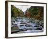 Swift River Flowing Through Forest in Autumn-James Randklev-Framed Photographic Print