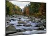 Swift River Flowing Through Forest in Autumn-James Randklev-Mounted Photographic Print