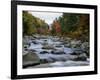 Swift River Flowing Through Forest in Autumn-James Randklev-Framed Photographic Print