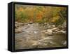 Swift River Flowing Trough Forest in Autumn, White Mountains National Forest, New Hampshire, USA-Adam Jones-Framed Stretched Canvas