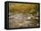 Swift River Flowing Trough Forest in Autumn, White Mountains National Forest, New Hampshire, USA-Adam Jones-Framed Stretched Canvas