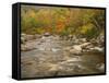 Swift River Flowing Trough Forest in Autumn, White Mountains National Forest, New Hampshire, USA-Adam Jones-Framed Stretched Canvas
