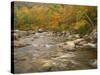 Swift River Flowing Trough Forest in Autumn, White Mountains National Forest, New Hampshire, USA-Adam Jones-Stretched Canvas