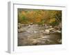 Swift River Flowing Trough Forest in Autumn, White Mountains National Forest, New Hampshire, USA-Adam Jones-Framed Photographic Print
