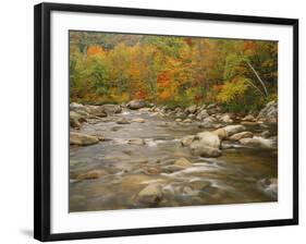 Swift River Flowing Trough Forest in Autumn, White Mountains National Forest, New Hampshire, USA-Adam Jones-Framed Photographic Print