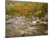 Swift River Flowing Trough Forest in Autumn, White Mountains National Forest, New Hampshire, USA-Adam Jones-Mounted Photographic Print