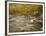 Swift River Flowing Trough Forest in Autumn, White Mountains National Forest, New Hampshire, USA-Adam Jones-Framed Photographic Print