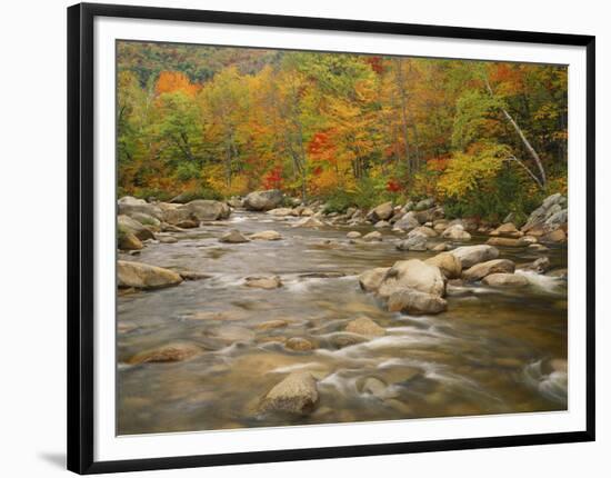 Swift River Flowing Trough Forest in Autumn, White Mountains National Forest, New Hampshire, USA-Adam Jones-Framed Photographic Print