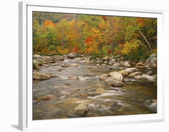 Swift River Flowing Trough Forest in Autumn, White Mountains National Forest, New Hampshire, USA-Adam Jones-Framed Photographic Print