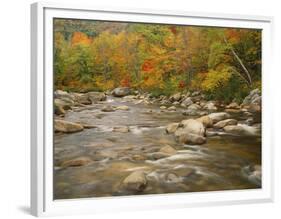 Swift River Flowing Trough Forest in Autumn, White Mountains National Forest, New Hampshire, USA-Adam Jones-Framed Photographic Print