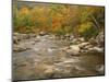 Swift River Flowing Trough Forest in Autumn, White Mountains National Forest, New Hampshire, USA-Adam Jones-Mounted Photographic Print