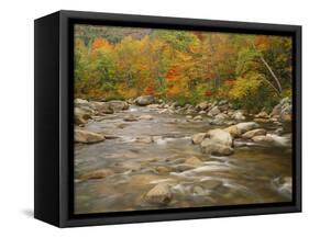 Swift River Flowing Trough Forest in Autumn, White Mountains National Forest, New Hampshire, USA-Adam Jones-Framed Stretched Canvas