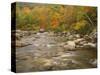 Swift River Flowing Trough Forest in Autumn, White Mountains National Forest, New Hampshire, USA-Adam Jones-Stretched Canvas