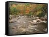 Swift River in Autumn, White Mountains National Forest, New Hampshire, USA-Adam Jones-Framed Stretched Canvas