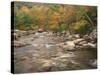Swift River in Autumn, White Mountains National Forest, New Hampshire, USA-Adam Jones-Stretched Canvas