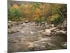 Swift River in Autumn, White Mountains National Forest, New Hampshire, USA-Adam Jones-Mounted Photographic Print