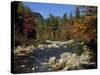 Swift River, Kangamagus Highway, White Mountains National Forest, New Hampshire, USA-Fraser Hall-Stretched Canvas