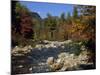 Swift River, Kangamagus Highway, White Mountains National Forest, New Hampshire, USA-Fraser Hall-Mounted Photographic Print