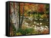 Swift River with Aspen and Maple Trees in the White Mountains, New Hampshire, USA-Darrell Gulin-Framed Stretched Canvas