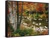 Swift River with Aspen and Maple Trees in the White Mountains, New Hampshire, USA-Darrell Gulin-Framed Stretched Canvas