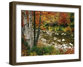 Swift River with Aspen and Maple Trees in the White Mountains, New Hampshire, USA-Darrell Gulin-Framed Premium Photographic Print