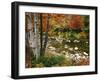 Swift River with Aspen and Maple Trees in the White Mountains, New Hampshire, USA-Darrell Gulin-Framed Premium Photographic Print