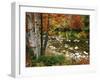 Swift River with Aspen and Maple Trees in the White Mountains, New Hampshire, USA-Darrell Gulin-Framed Photographic Print