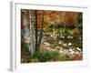 Swift River with Aspen and Maple Trees in the White Mountains, New Hampshire, USA-Darrell Gulin-Framed Photographic Print