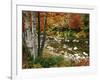 Swift River with Aspen and Maple Trees in the White Mountains, New Hampshire, USA-Darrell Gulin-Framed Photographic Print