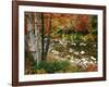 Swift River with Aspen and Maple Trees in the White Mountains, New Hampshire, USA-Darrell Gulin-Framed Photographic Print