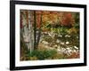 Swift River with Aspen and Maple Trees in the White Mountains, New Hampshire, USA-Darrell Gulin-Framed Photographic Print