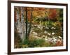 Swift River with Aspen and Maple Trees in the White Mountains, New Hampshire, USA-Darrell Gulin-Framed Photographic Print